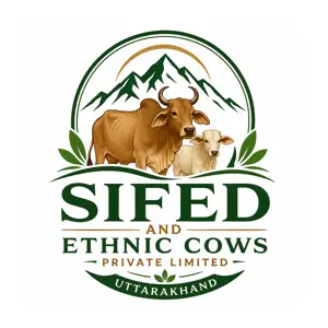SIFED